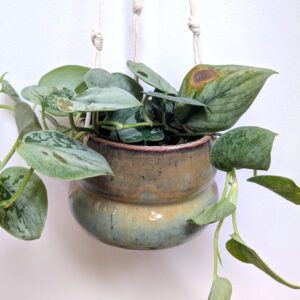 Hangpotje - medium - moerasgroen